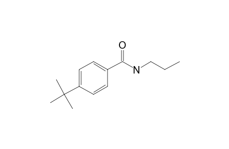 Benzamide, 4-(tert-butyl)-N-propyl-