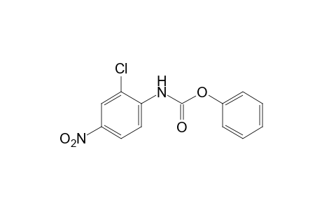 2-chloro-4-nitrocarbanilic acid, phenyl ester