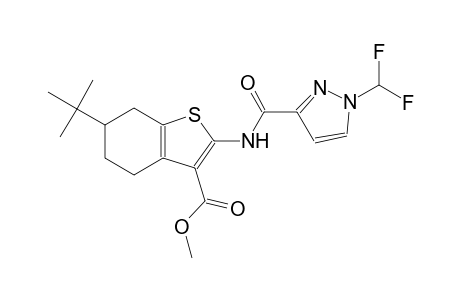 methyl 6-tert-butyl-2-({[1-(difluoromethyl)-1H-pyrazol-3-yl]carbonyl}amino)-4,5,6,7-tetrahydro-1-benzothiophene-3-carboxylate
