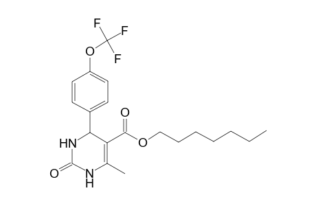 2-keto-6-methyl-4-[4-(trifluoromethoxy)phenyl]-3,4-dihydro-1H-pyrimidine-5-carboxylic acid heptyl ester