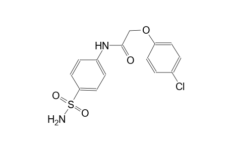 N-[4-(aminosulfonyl)phenyl]-2-(4-chlorophenoxy)acetamide