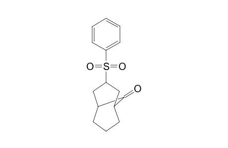 endo- and exo-3-(Phenylsulfonyl)bicyclo[3.3.1]nonan-9-one