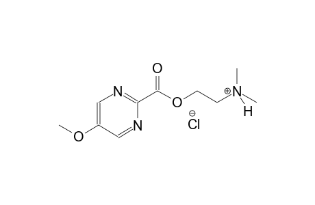 2-{[(5-methoxy-2-pyrimidinyl)carbonyl]oxy}-N,N-dimethylethanaminium chloride