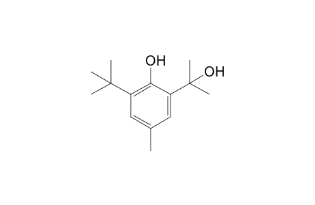 2-(1'-Methyl-1'-hydroxyethyl)-6-(t-butyl)-4-methylphenol