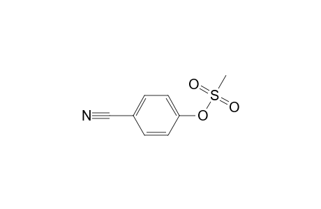4-Methanesulfonyloxybenzonitrile