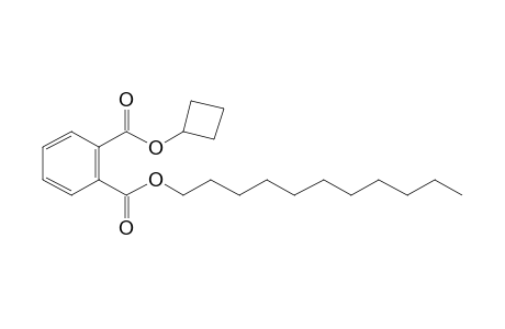 Phthalic acid, cyclobutyl undecyl ester