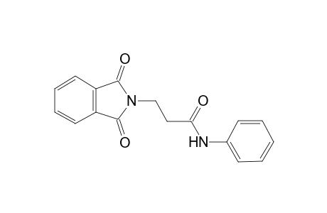 3-(1,3-Dioxo-1,3-dihydro-2H-isoindol-2-yl)-N-phenylpropanamide
