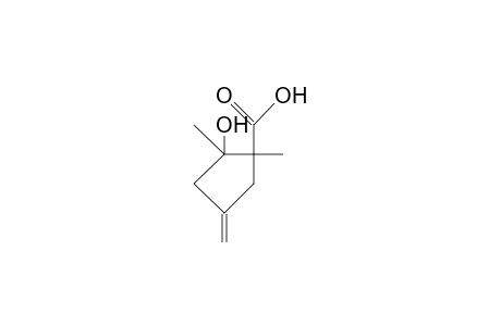 (1R,2R)-1,2-Dimethyl-2-hydroxy-4-methylidene-cyclopentanecarboxylic acid