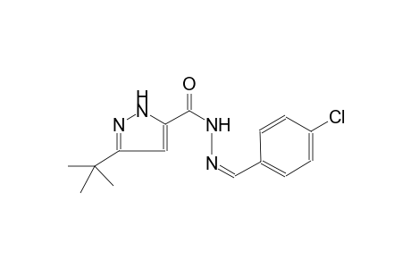 1H-pyrazole-5-carboxylic acid, 3-(1,1-dimethylethyl)-, 2-[(Z)-(4-chlorophenyl)methylidene]hydrazide