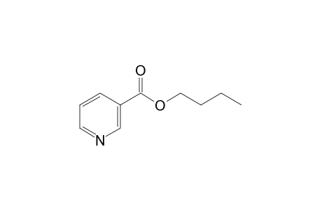 nicotinic acid, butyl ester