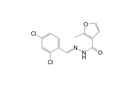 N'-[(E)-(2,4-dichlorophenyl)methylidene]-2-methyl-3-furohydrazide