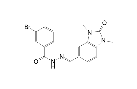 3-bromo-N'-[(E)-(1,3-dimethyl-2-oxo-2,3-dihydro-1H-benzimidazol-5-yl)methylidene]benzohydrazide