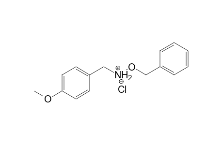 N-(p-Methoxybenzyl)-O-benzylhydroxyammonium chloride