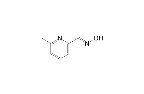 6-methyl-2-pyridinecarboxaldehyde, oxime