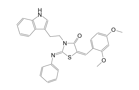 (2Z,5E)-5-(2,4-dimethoxybenzylidene)-3-[2-(1H-indol-3-yl)ethyl]-2-(phenylimino)-1,3-thiazolidin-4-one