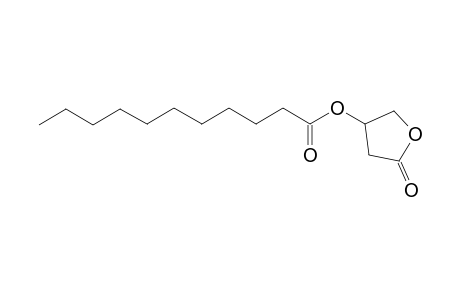 Undecanoylcarnitine oxylactone
