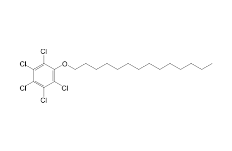Pentachlorophenyl tetradecyl ether
