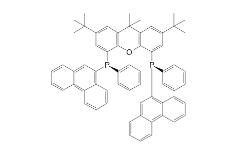 (1S,1'S)-(-)-(2,7-di-tert-butyl-9,9-dimethyl-9H-xanthene-4,5-diyl)bis((9-phenanthryl)(phenyl)phosphine)