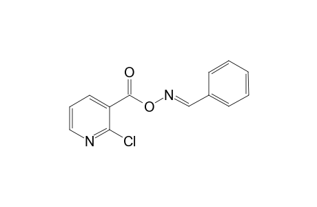 Pyridine-3-carboxylic acid, 2-chloro-, benzylidenamino ester