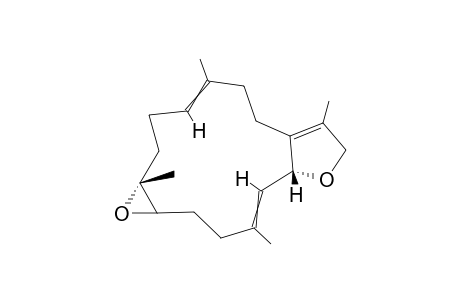 (2R,7S,8S)-Sarcophytoxide
