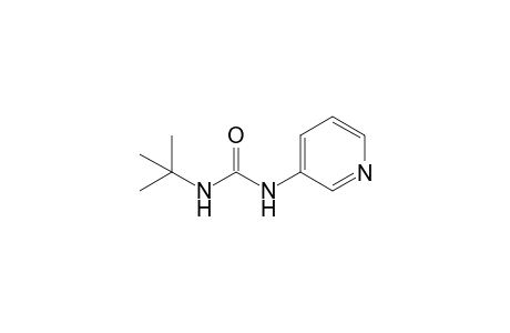 N-t-Butyl-N'-(3-pyridyl)urea