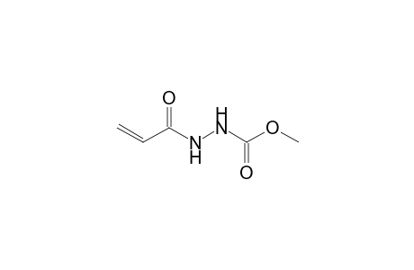 N1-(Methoxycarbonyl)-N2-(1-oxoprop-2-en-1-yl)hydrazide