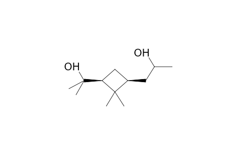 CIS-1-(2-HYDROXYPROPYL)-2,2-DIMETHYL-3-(1-METHYL-1-HYDROXYETHYL)CYCLOBUTANE (DIASTEREOMER MIXTURE)