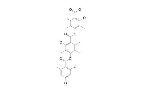 THIELAVIN-H;4-[4'-(2'',4''-DIHYDROXY-6''-METHYLBENZOYLOXY)-3',5',6'-TRIMETHYL-2'-HYDROXYBENZOYLOXY]-2-HYDROXY-3,5,6-TRIMETHYLBENZOIC-ACID