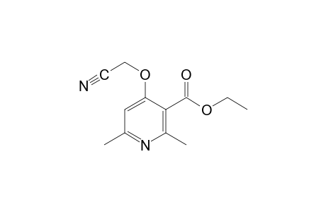 4-(cyanomethoxy)-2,6-dimethylnicotinic acid, ethyl ester