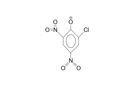 2-Chloro-4,6-dinitro-pnenol anion