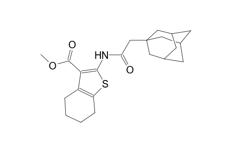 methyl 2-[(1-adamantylacetyl)amino]-4,5,6,7-tetrahydro-1-benzothiophene-3-carboxylate