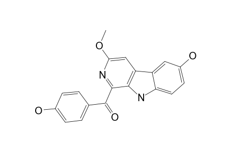 DAIBUCARBOLINE_B;(6-HYDROXY-3-METHOXY-9-H-PYRIDO-[3.4-B]-INDOL-1-YL)-(4-HYDROXYPHENYL)-METHANONE