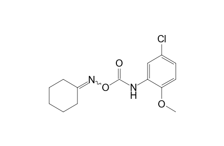 cyclohexanone, O-[(5-chloro-2-methoxyphenyl)carbamoyl]oxime