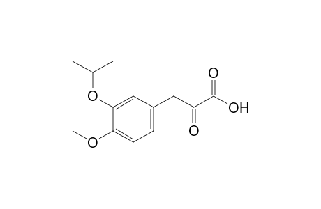 3-(3-isopropoxy-4-methoxy-phenyl)-2-keto-propionic acid