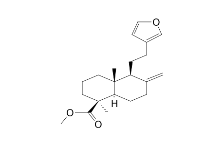 (1S,4aR,5S,8aR)-5-[2-(3-furyl)ethyl]-1,4a-dimethyl-6-methylene-decalin-1-carboxylic acid methyl ester