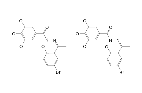 N-[1-(5-BROMO-2-HYDROXYPHENYL)-ETHYLIDENE]-3,4,5-TRIHYDROXYBENZOHYDRAZIDE