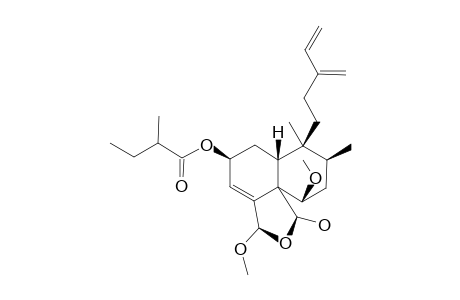 CASEABALANSIN_E;REL-(2-S,5-R,6-R,8-S,9-S,10-R,18-S,19-R)-18,19-EPOXY-6,18-DIMETHOXY-2-(2-ZETA-METHYLBUTANOYLOXY)-CLERODA-3,13-(16),14-TRIEN-19-OL