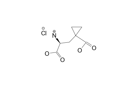 1-[(2S)-2-AMINO-2-CARBOXYETHYL]-CYCLOPROPANECARBOXYLIC-ACID-HYDROCHLORIDE