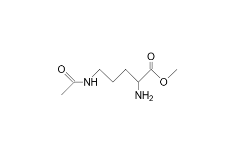 N-Acetyl-ornithine methyl ester