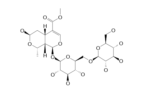 6'-O-BETA-D-GLUCOPYRANOSYL-MORRONISIDE;7-BETA-ISOMER