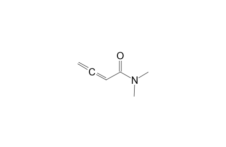 N,N-dimethylbuta-2,3-dienamide