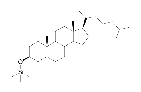 Cholestanol, O-TMS