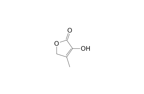 2(5H)-Furanone, 3-hydroxy-4-methyl-