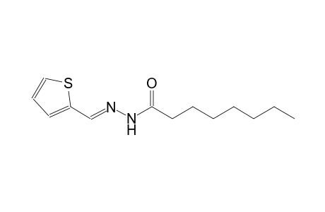 N'-[(E)-2-Thienylmethylidene]octanohydrazide