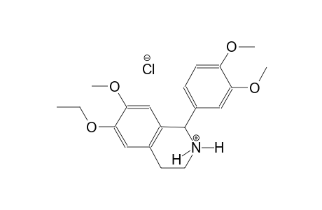 isoquinolinium, 1-(3,4-dimethoxyphenyl)-6-ethoxy-1,2,3,4-tetrahydro-7-methoxy-, chloride