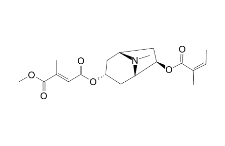 3.alpha.-(1-Methylitaconyl)-6.beta.-angeloyloxytropane