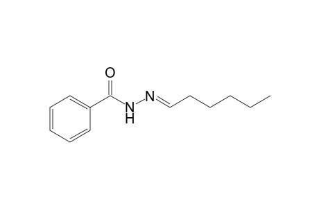 1-Benzoyl-2-hexylidenehydrazine