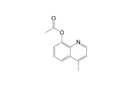 4-Methylquinolin-8-yl acetate