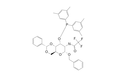 BENZYL-4,6-O-BENZYLIDENE-2-DEOXY-3-O-(DI-3,5-XYLYLPHOSPPHINO)-2-(2,2,2-TRIFLUOROACETAMIDO)-ALPHA-D-ALLOPYRANOSIDE