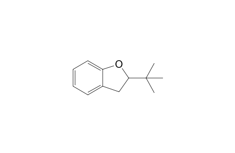 2-tert-Butyl-2,3-dihydro-1-benzofuran